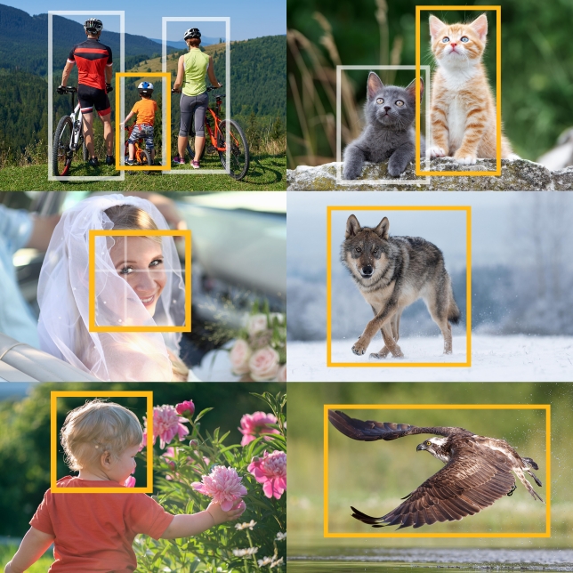 fotocamera