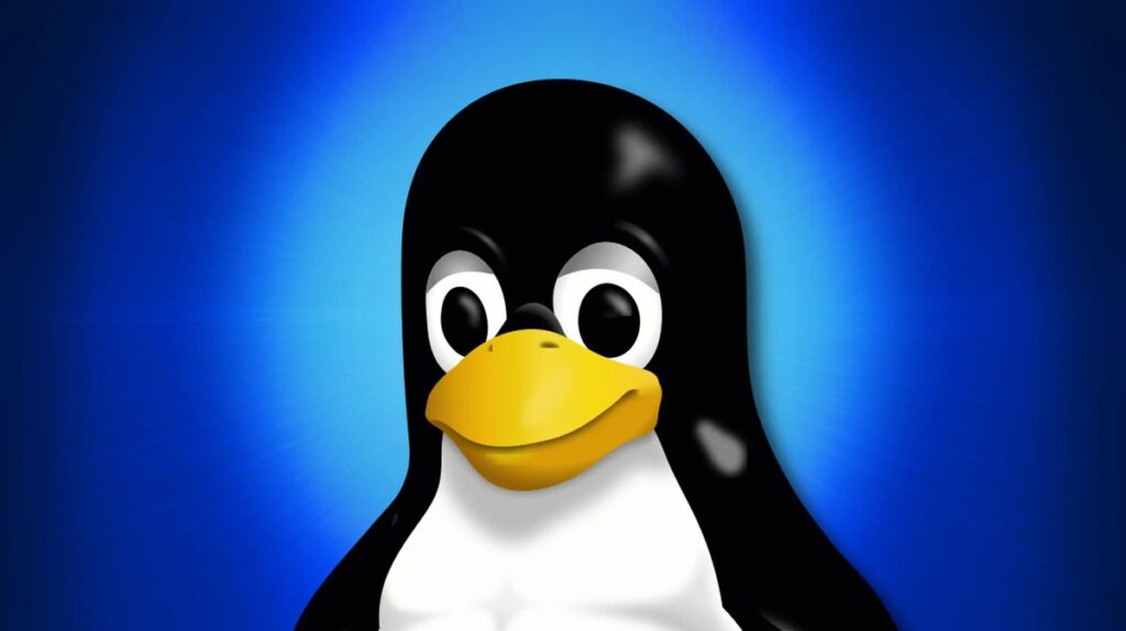 Guida ai comandi base per Linux